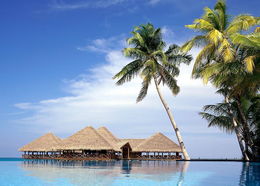 河北省中国国际旅行社